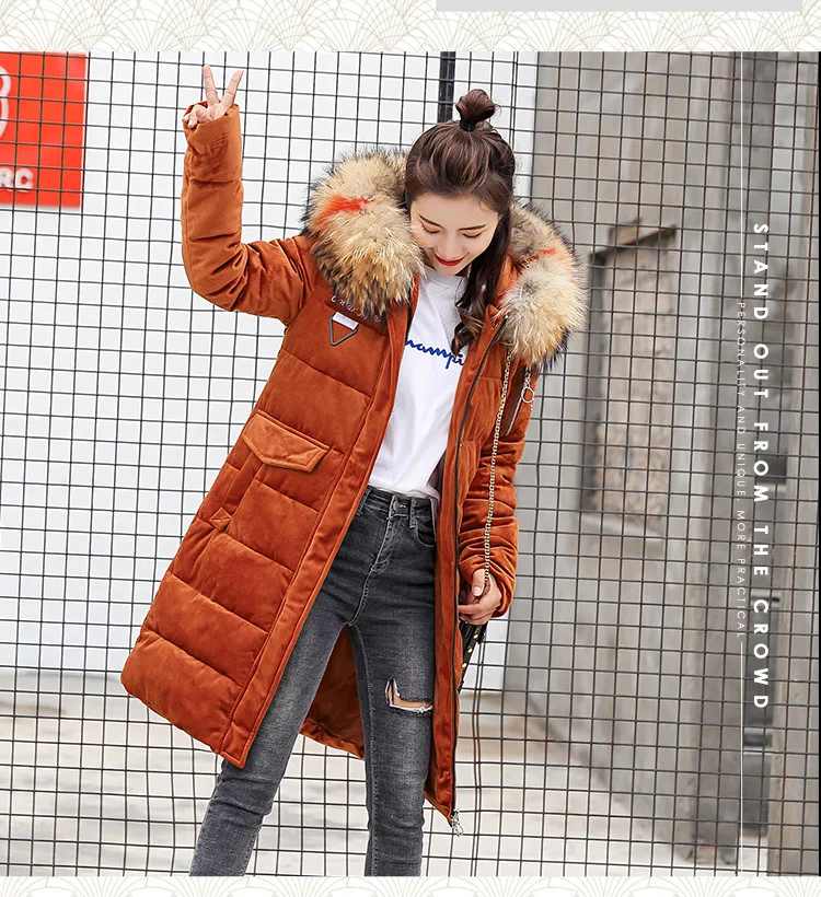 9051469254_1006637240