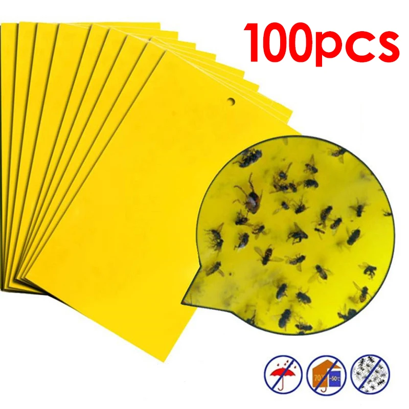 100pcs