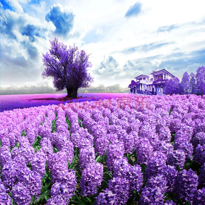 Прованская Лаванда полностью из мастики DIY Алмазная картина Lavender Manor 5D алмазная