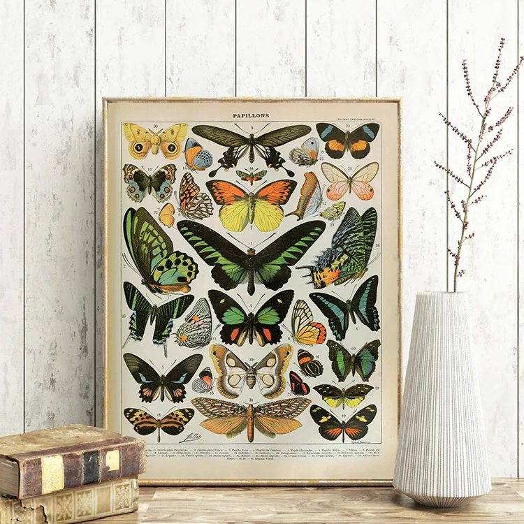 Butterfly-Birds-Vintage-Poster-and-Prints-Flowers-Mushrooms-Botanical-Educational-Prints-Canvas-Wall-Art-Painting-Pictures (1)