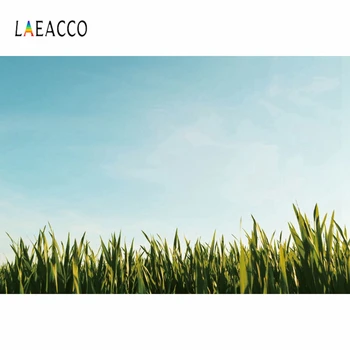 

Laeacco Spring Scenery Sky Grassland Field Photo Background Wall Decor Portrait Vinyl Photocall Photography Backdrop Studio