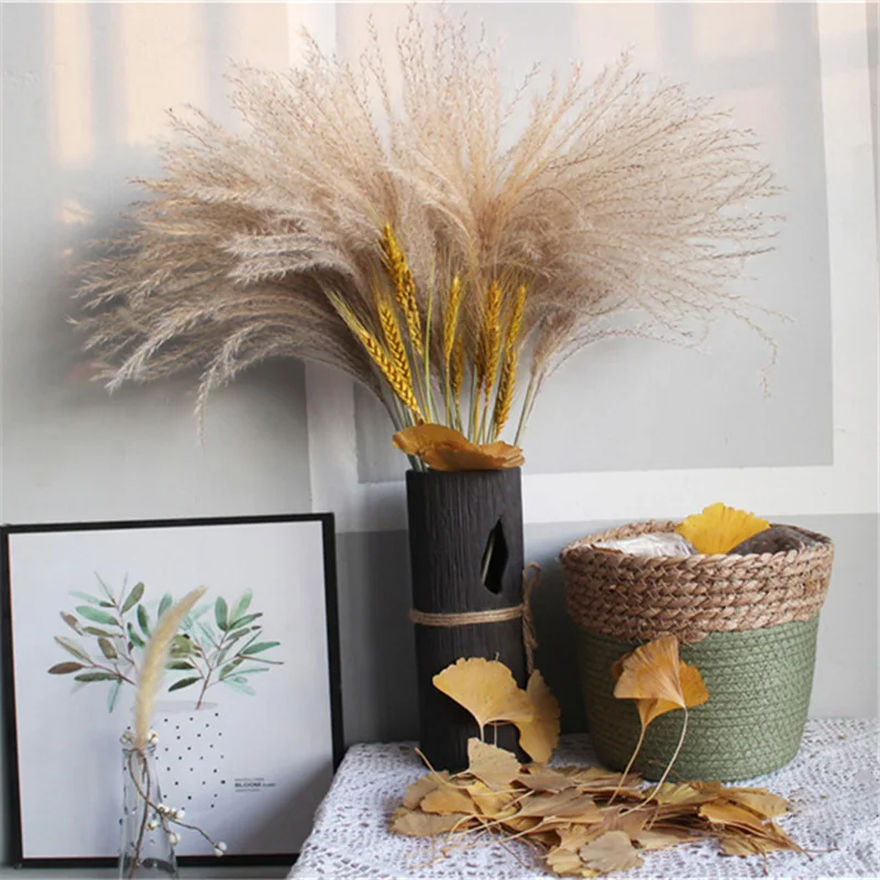 10 шт. Натуральные Сушеные маленькие пампасные травы|Искусственные и сухие цветы|