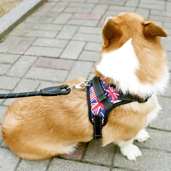

Chest Strap Puppy Dog Hand Holding Rope Vest Dog Leash Medium and Small Dog Keji Pet Supplies Dog Chain