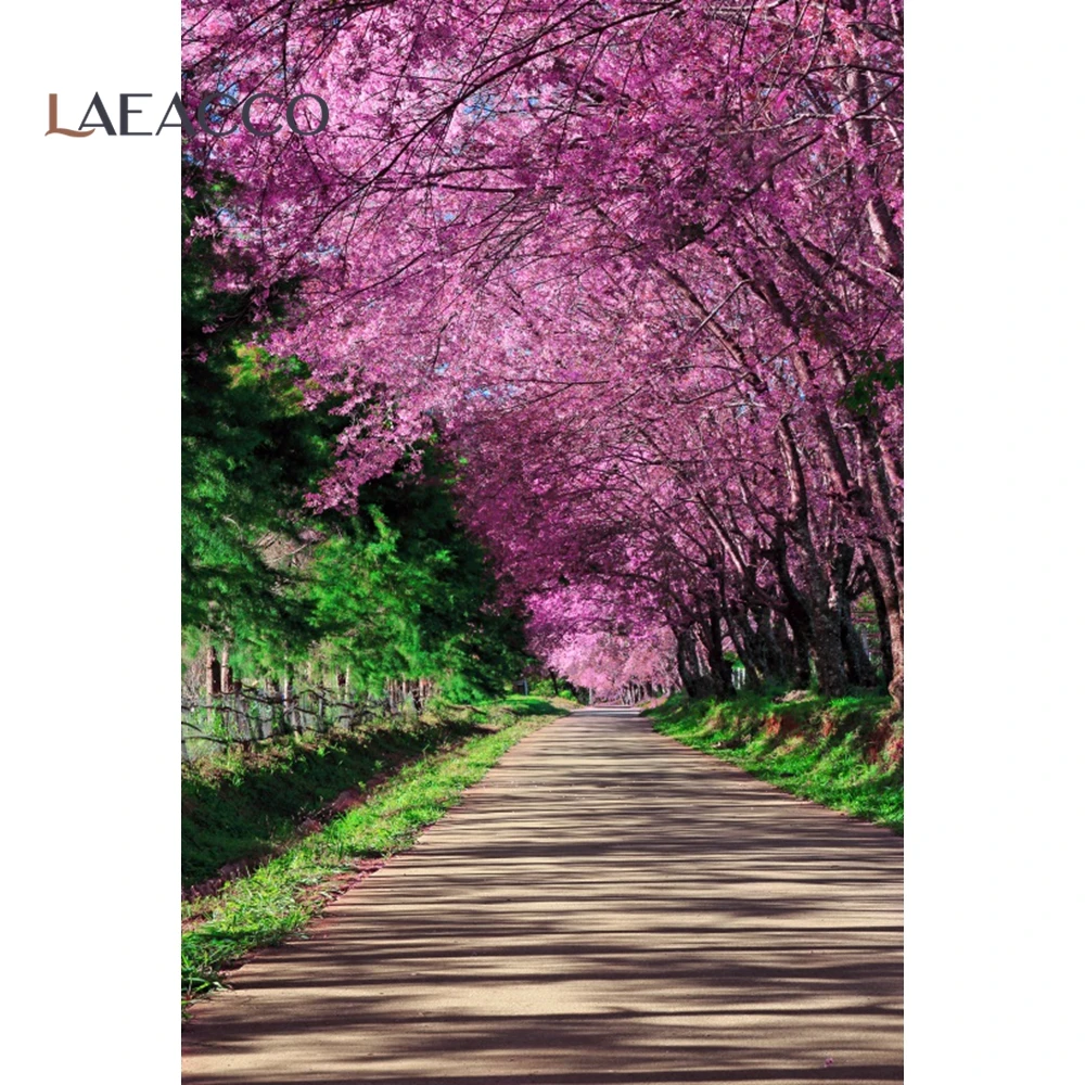 

Laeacco Pink Spring Backdrop For Photography Blossom Flowers Tree Park Garden Way Scenic Photographic Background Photo Studio