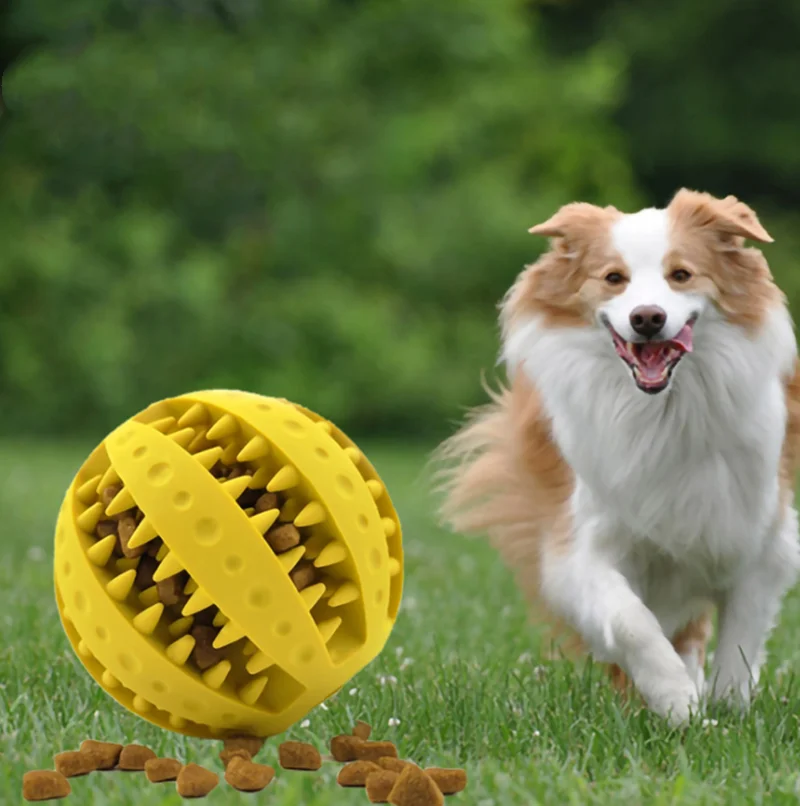 Soft Pet Dog Toys Toy Funny Interactive Elasticity Ball Dog Chew Toy