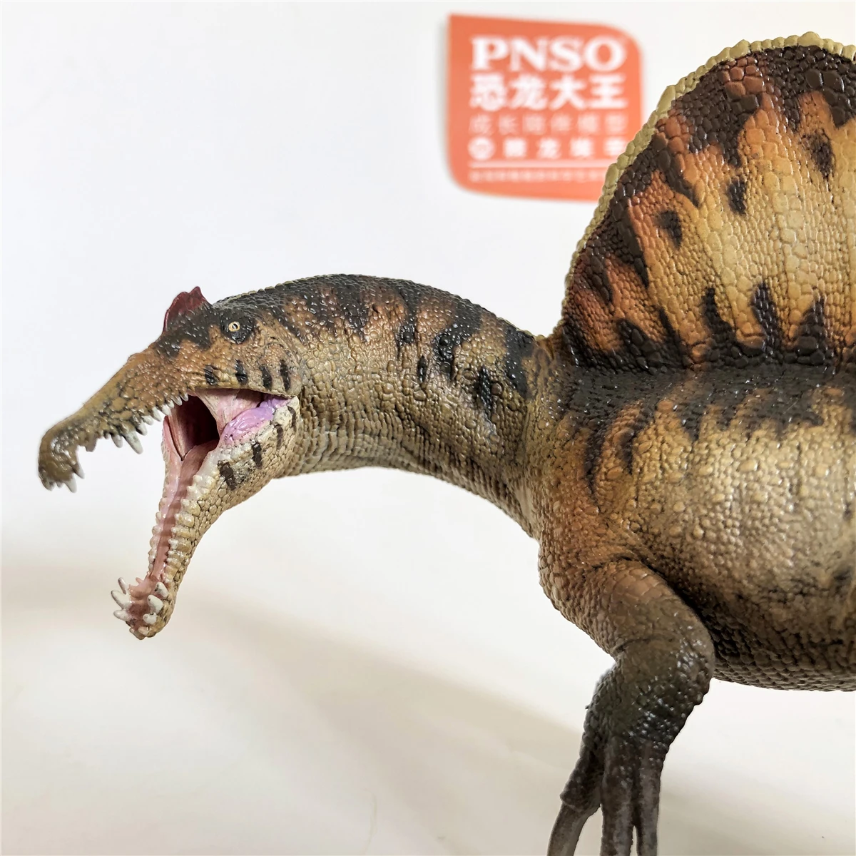 PNSO スピノサウルス Amazon | PNSO 恐竜博物館シリーズ スピノサウルス 白亜紀 肉食