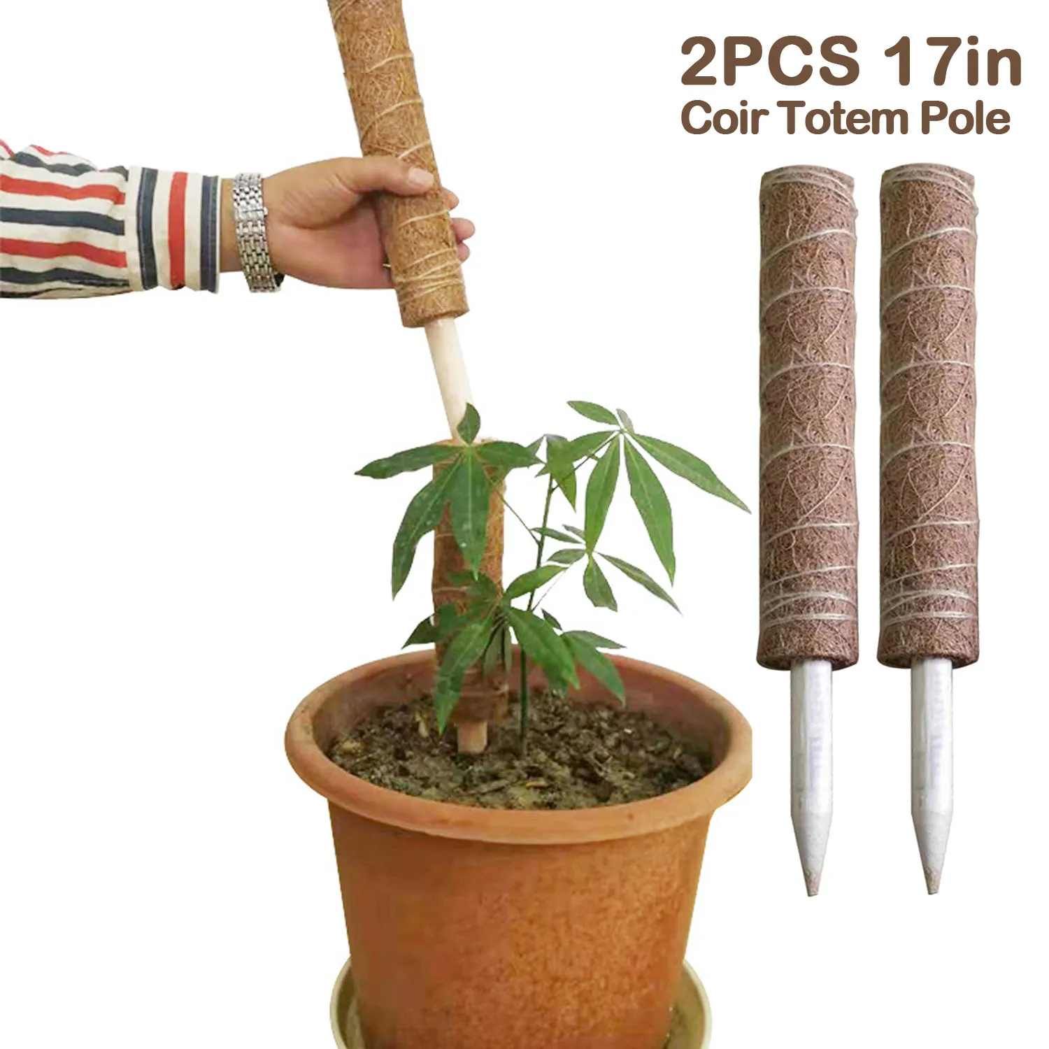 2 шт Coir Moss Stick Totem столб для криперов альпинистских комнатных растений поддержка