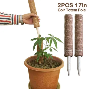

2pcs Coir Moss Stick Coir Totem Stake Pole for Creepers Climbing Indoor Plants Support Extension Vines And Creepers 17 Inch