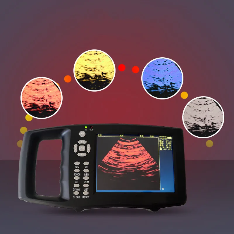 O1CN01cAXeZ21xo0a9qWFRP_!!812466489