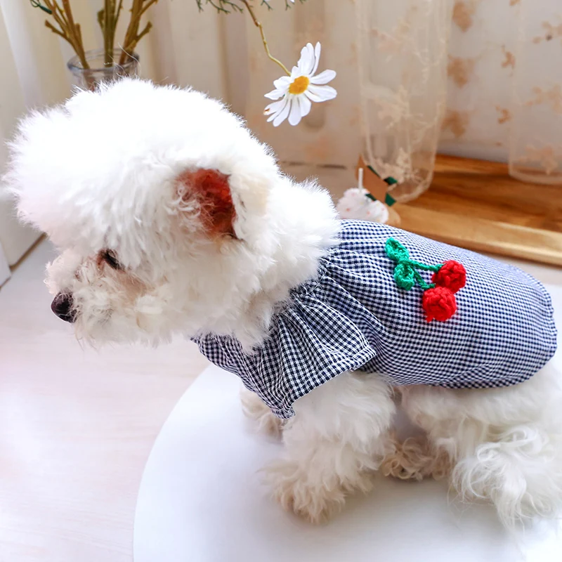 pet circle dog clothes