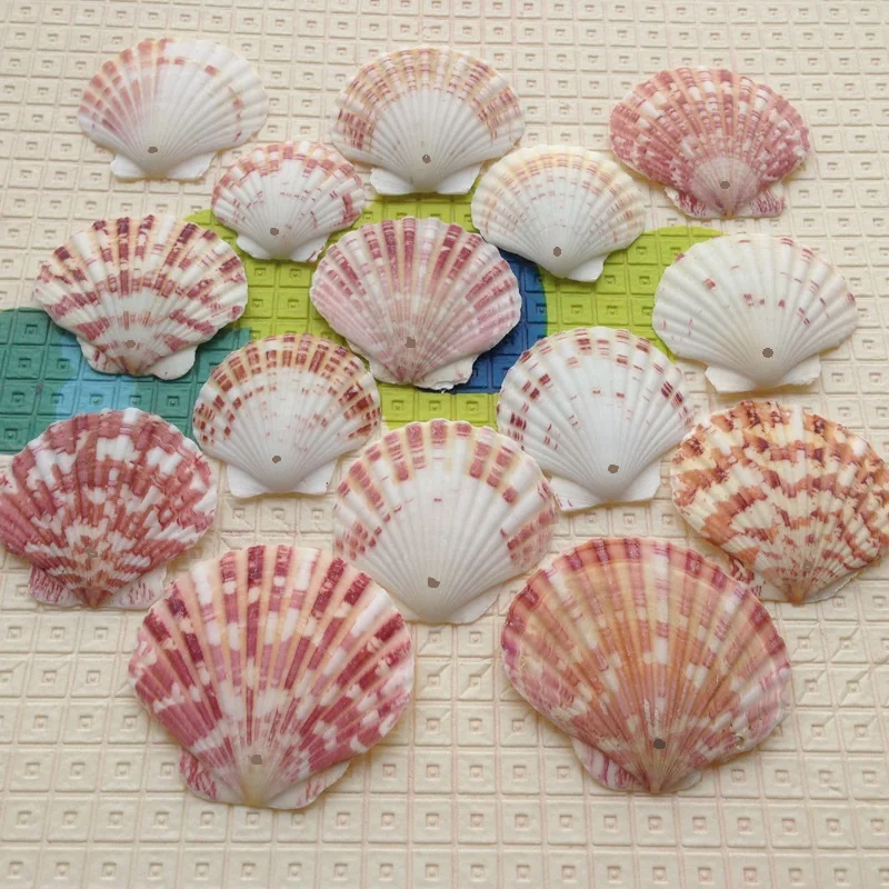 Get Decoracao com conchas do mar For Free