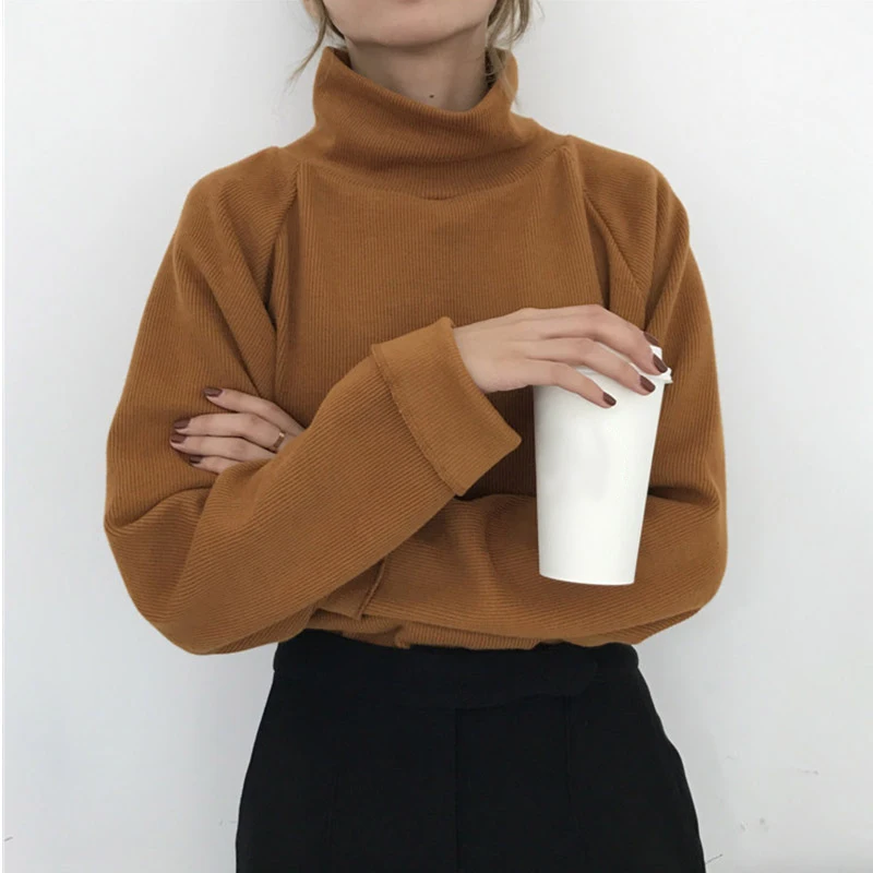 Ccibuy11-Turtleneck-Knitted-Jumpers-for-women-Women-Sweater-Casual-Loose-Long-Batwing-Sleeve-Crocheted-Pullovers-Streetwear (3)