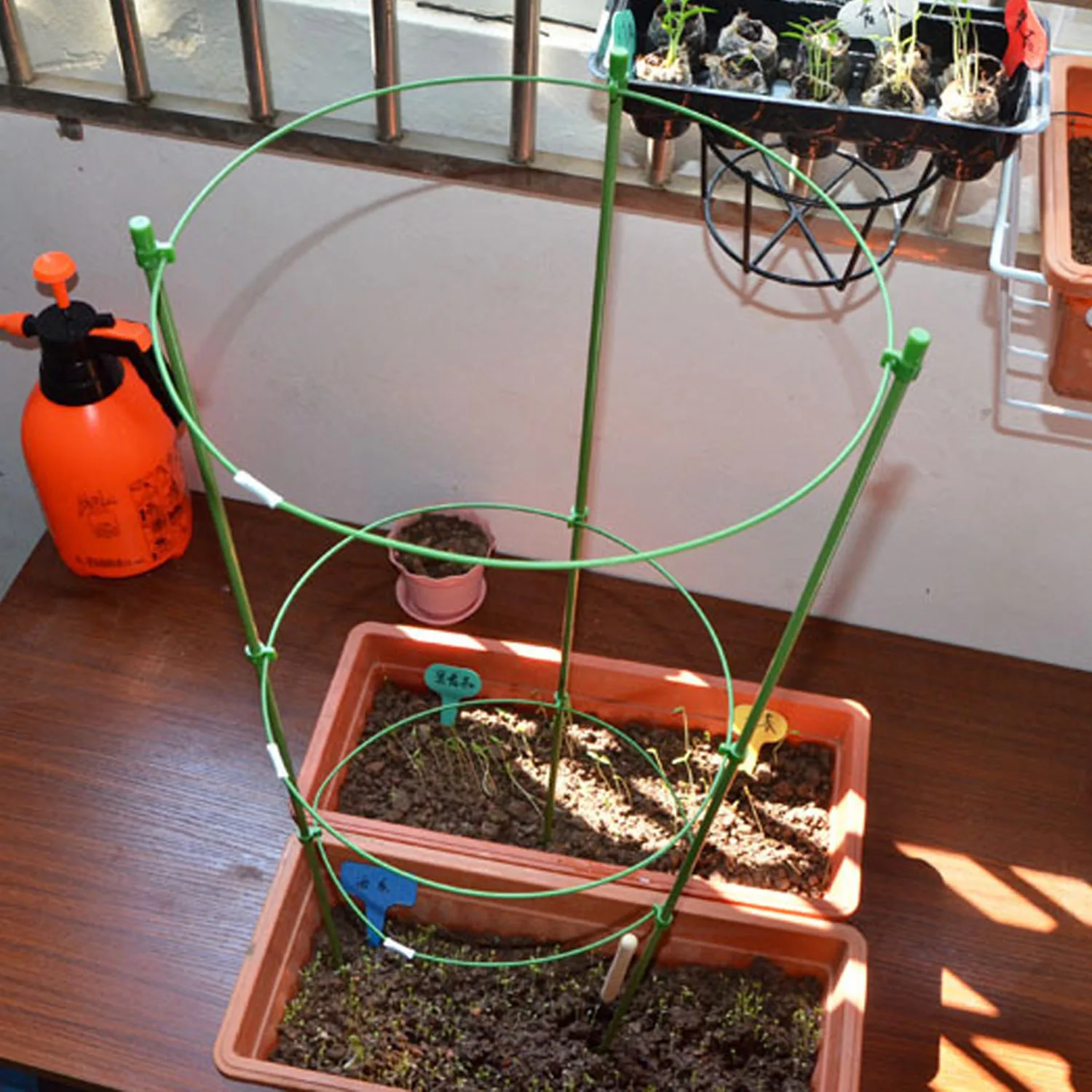 

3PCS 45cm Garden Vine Climbing Potted Plants Support Trellis Cage with 3-Ring for Clematis Lily Tomato Cucumber Sweet Pea Lvy