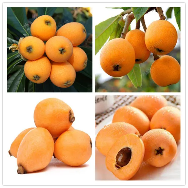 Hd328e136a66d4a619af43976f8970217l