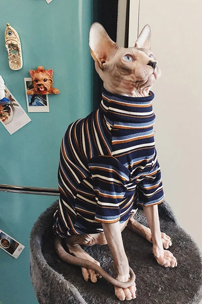 sphynx sweaters
