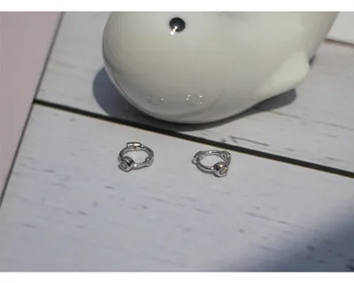 Серьги из стерлингового серебра 925 пробы, модные, красные, черные, зеленые, мини, циркониевые, круглые серьги, кость, дикий, милый тренд, женские серьги для девочек, ювелирные изделия - Окраска металла: 1 pair silver white