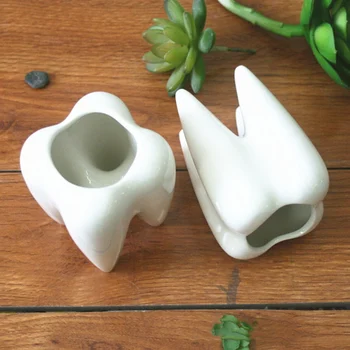 

Mini Flowerpots Plant Containers Desktop Teeth Pots White Ceramic Succulent Planter Pots Cute Animal Shaped Cartoon Flowerpots