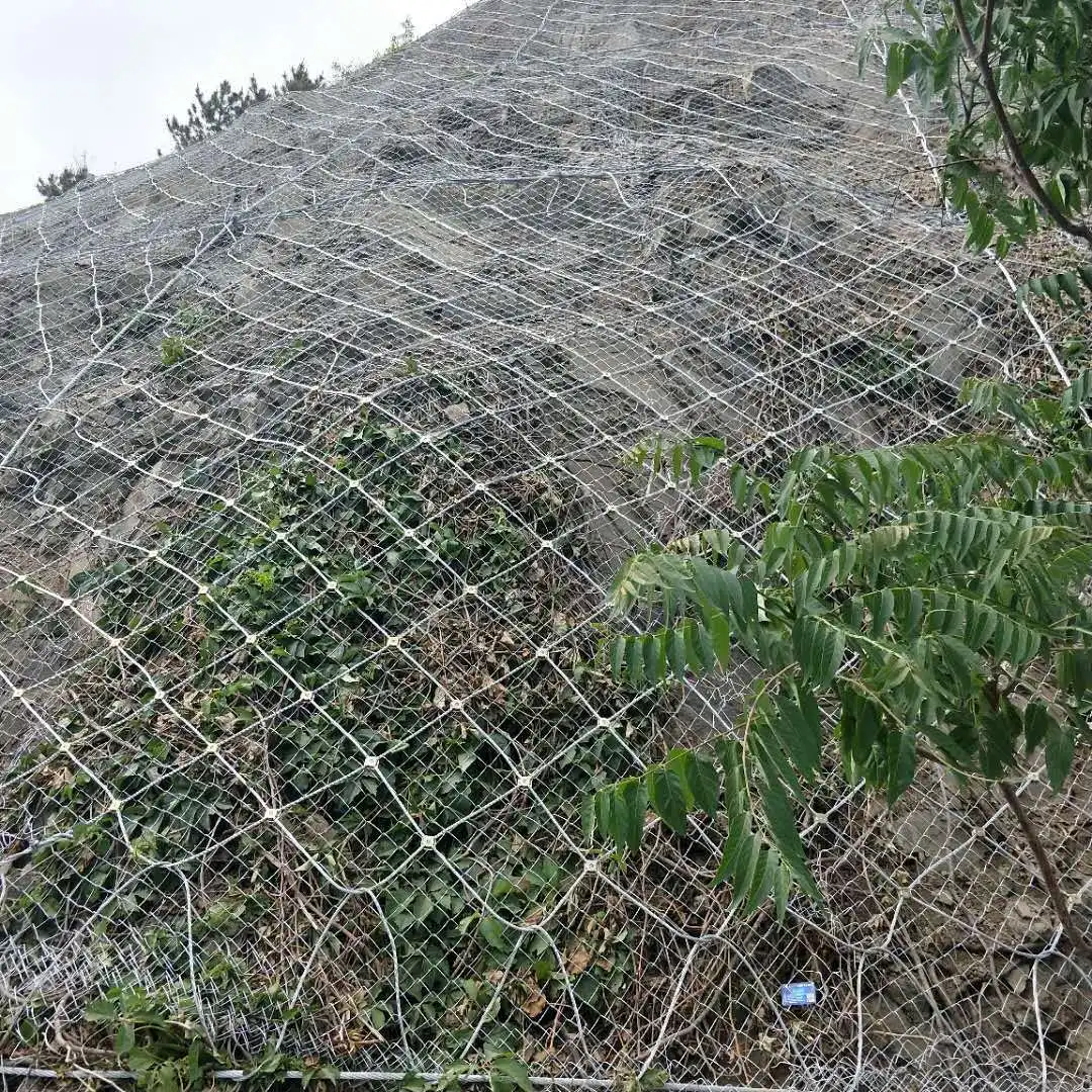 

Customizable Flexible SNS Slope Protect National Standard Wire Rope Net Active Slope Protect Slope Safe Net