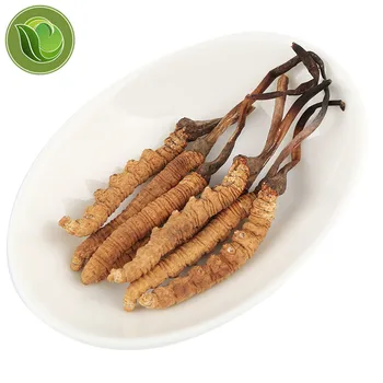 

Whole Organic Wild Himalayan Cordyceps Sinensis