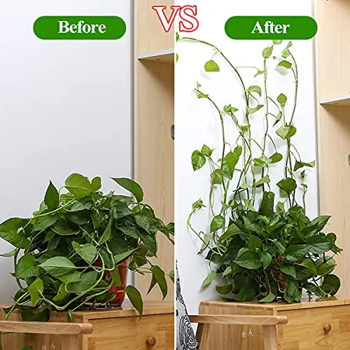 Plant Climbing Self-Adhesive Wall H58fc0980401e4a2abf9485095dcb805ba