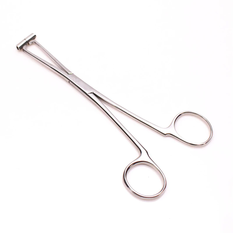 HTB1G1tcTSzqK1RjSZFjq6zlCFXa9