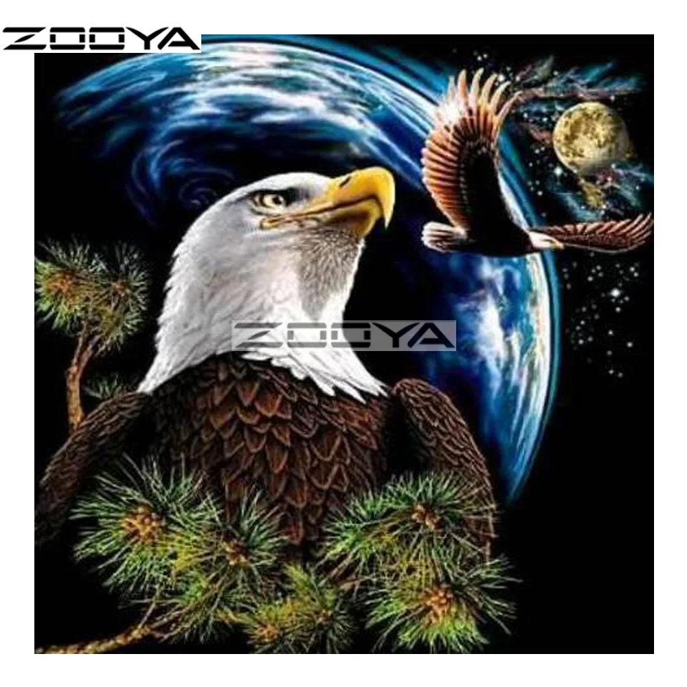 HTB1rxr6xf5TBuNjSspcq6znGFXat