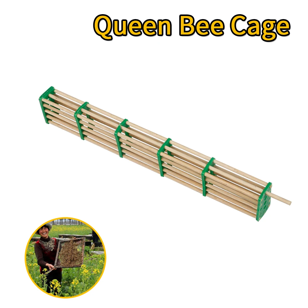 10pcs Bees Queen Cage Beekeeping Equipment and Apicultura Tools for