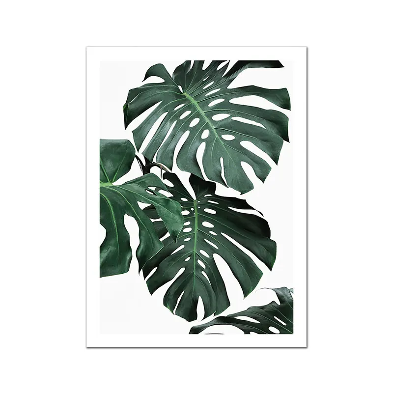 Monstera-Deliciosa-Poster-Plant-Flower-Leaf-Canvas-Painting-Nordic-Wall-Art-Pictures-For-Living-Room-Modern (5)