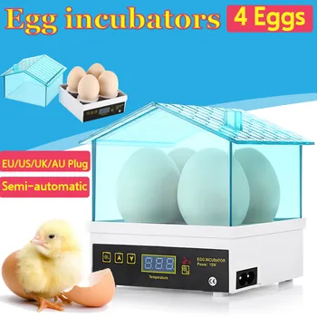 

Mini 4 Eggs Incubator Fully Auto Digital Poultry Chicken Duck Hatcher Egg Incubator Hatcher Chicken Duck Bird