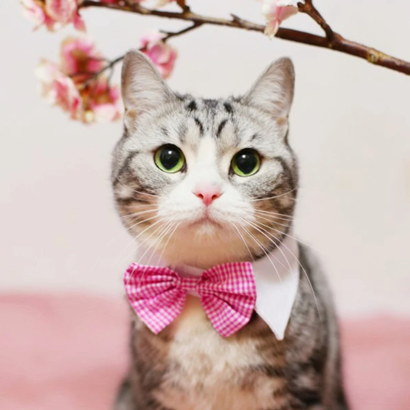 Pet Bow Ties in Various Designs Cats and Dogs Collar Tie | Дом и сад