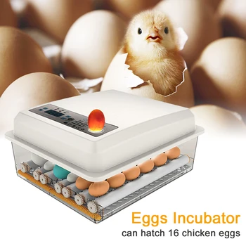 

Large Capacity For Hatching Low Noise Eggs Incubator ABS Poultry Chicken Digital Display Automatic Turning Home Goose Quail