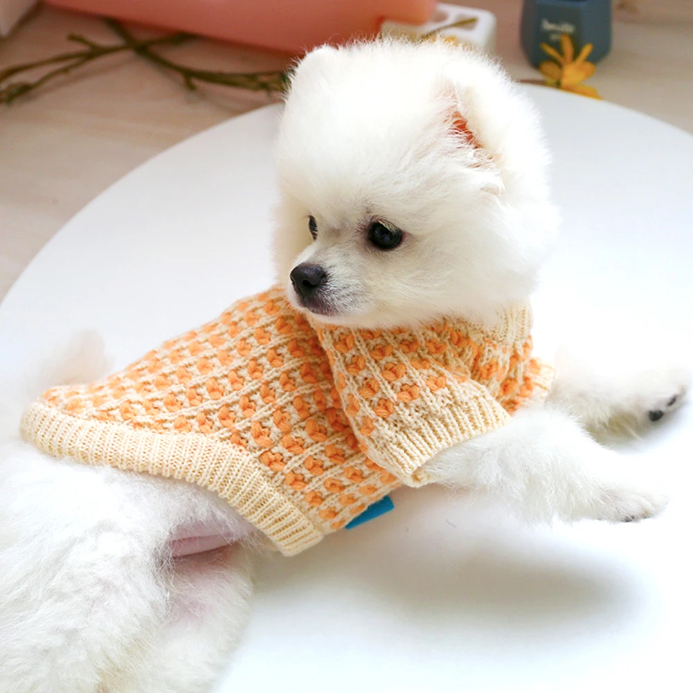 따뜻한 고양이 강아지 니트 스웨터, 애완 동물, 고양이, 오렌지 컬러, 웨이퍼 스웨터, 따뜻한 옷, 가을 겨울 의상