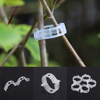 

100pcs Plant Vines Support Clips Tomato Stem Vegetable Fixing Clip Garden Greenhouse Fruite Tied Buckle Lashing Hook Fixed Clip
