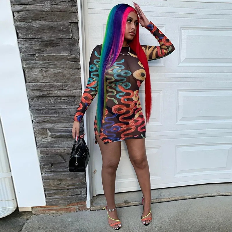 

Echoine Colorful Snake Print Sexy Sheer Mesh See Through Split Mini Dress Long Sleeve Vintage Vestidos Party Night Club Outfits