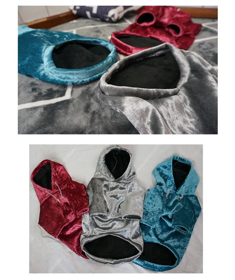 sweatshirt french bulldog (16)