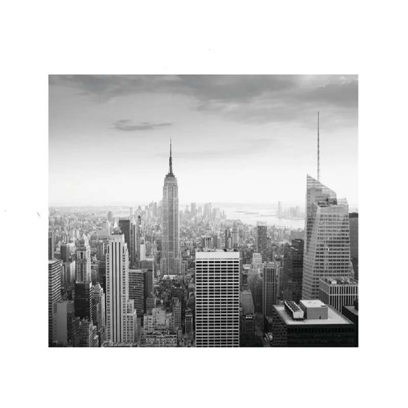 Bacaz Black and white Mural New York city building 5d wall mural for