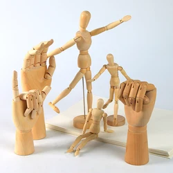Touch Boge Wooden Comic Tools Wooden Model Puppet Joint Doll Sketch Model Female Right Hand Male Left Hand Art Supplies