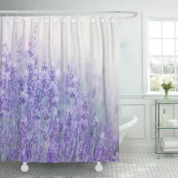 

Fabric with Hooks Lavender Flowers at Sunlight in Focus Pastel Colors and Blur Violet Lavande Field 60"X72" Decorative Bathroom