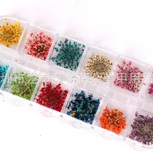 Маникюр сушеный цветок 24 цветок 12 цветов Маникюр сушеный в полоску с цветами коробка большой сушеный цветок 12-различные цветок сушеный цветок