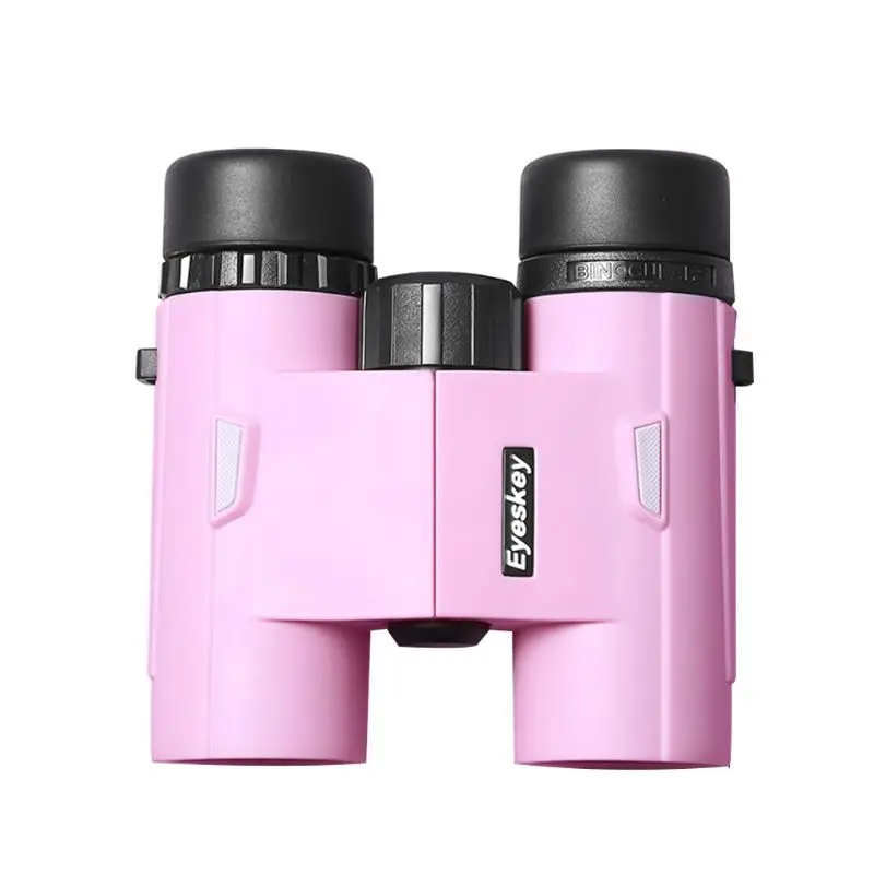 

High-definition Mini Digital Video Recording Camera Binoculars Digital Zoom Night Vision Portable Telescope