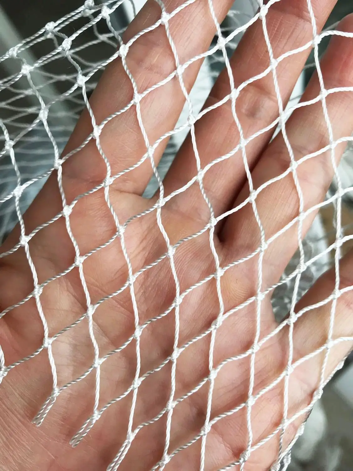 Solid White Nylon Netting,Nylon Fishing Net Mesh Anti Bird Netting Garden  Net and Crops Protective Mesh,Cat Dog Chicken Pen Net (Color : 4Mx10M, Size