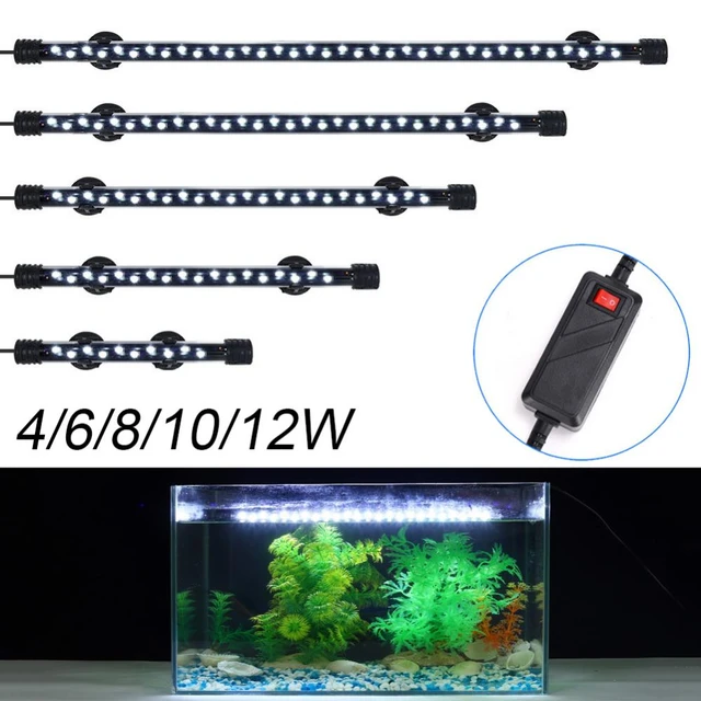 Lampe Led Imperméable Submersible Pour Aquarium, Éclairage Submergé,  Éclairage Pour Plantes Et Poissons, Lumière Blanche, Décoration Pour  Aménagement Paysager, 1 Pièce - Éclairages - AliExpress