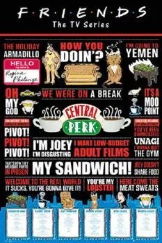 

FRIENDS TV POSTER INFOGRAPHIC SILK POSTER Decorative Wall painting 24x36inch