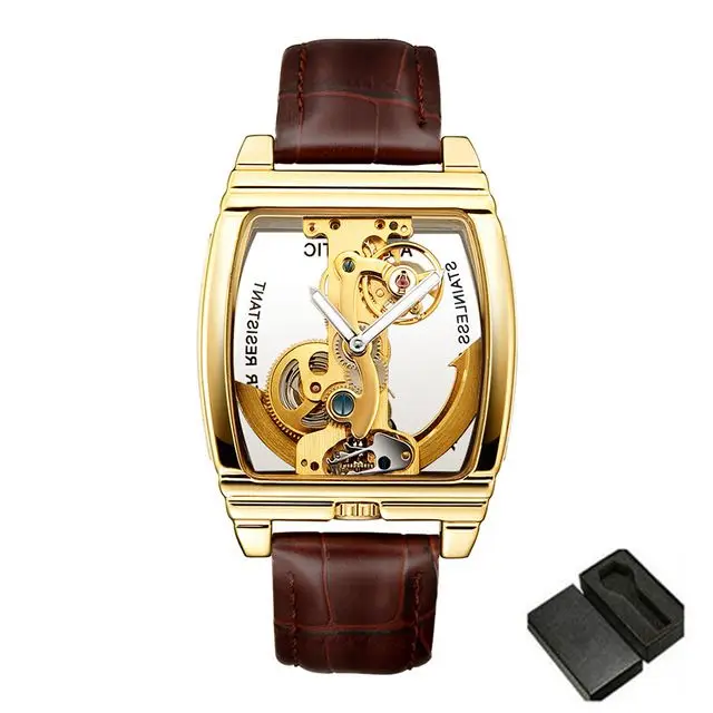 Модные мужские Shenhua автоматические механические часы в стиле стимпанк на кожаном ремешке, Водонепроницаемый часы Montre Homme - Цвет: brown gold-box