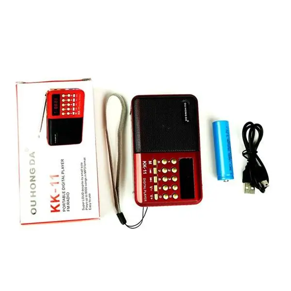 HobbyLane FM перезаряжаемый мини портативный радио Ручной цифровой FM USB TF MP3 плеер динамик