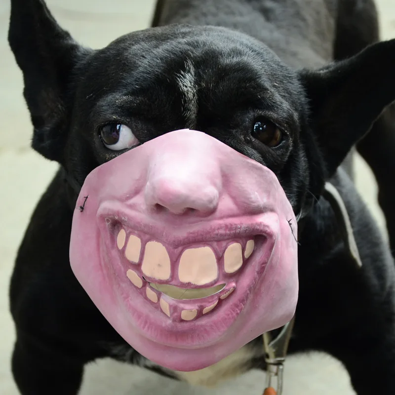 

Funny mask Pet dog bulldog funny funny half face mask Latex simulation prop Child / Adult horror Party supplies