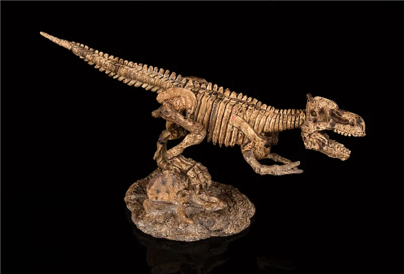

Pinault Archeology Dig Toy Dinosaur Fossil Children DIY Dig Educational Model Reproduction Dinosaur Exhibition Version 2-