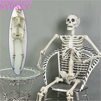 

170cm Human Skeleton Life Size Skull Full Body Anatomy Model Halloween Medical Halloween Party Festival Shop Home Decorations P