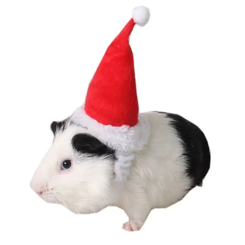 Шапка Санта-Клауса для маленьких животных, кролика, хомяка, морской свинки, крыс, праздничный костюм, Рождественская шапка с лентой, товары для животных C42