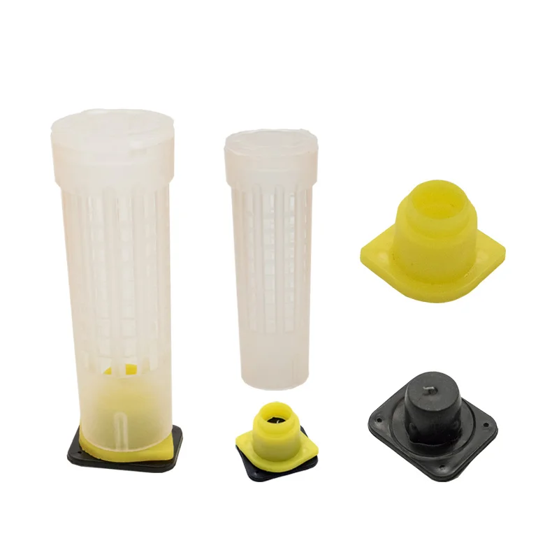 Complete Queen Rearing System Kit King Cultivating Box Plastic Bee Bees Cells Cell Cups Cupkit Cage Beekeeping Tools Supplier